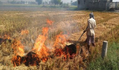 पराली प्रबंधन की मशीनरी के लिए सरकार दे रही 65 फीसदी सब्सिडी