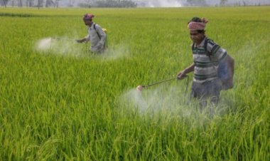 मोनोक्रोटोफॉस सहित 4 कीटनाशकों पर सरकार ने लगाया प्रतिबंध, किसानों की आत्महत्याओं से आया था विवादों में