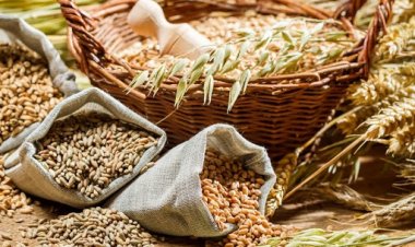 रूस को ब्लैक सी ग्रेन इनीशिएटिव से हटने का फायदा, अगस्त में अनाज निर्यात 27% बढ़ा