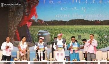 पांच साल में 20 फीसदी से ज्यादा बढ़ा दूध व मीट उत्पादन, अंडा उत्पादन में भी वृद्धि