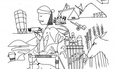 ग्रामीण भारत का एजेंडाः कृषि क्षेत्र की बढ़ती मुश्किलें