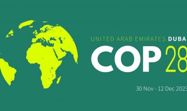 कॉप 28 में कृषि-खाद्य समाधानों के साथ जलवायु एजेंडे को आकार देगा एफएओ