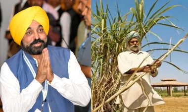 पंजाब में गन्ने का भाव 11 रुपये बढ़ा, देश में सर्वाधिक 391 रुपये क्विंटल
