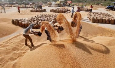 खुले बाजार में गेहूं बेचने के बावजूद 6.5% तक बढ़े दाम, ओएमएसएस के तहत 41 लाख टन गेहूं की हो चुकी है बिक्री