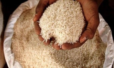पांच देशों को गैर-बासमती चावल निर्यात की अनुमति, नेपाल भेजा जाएगा 20 टन चावल