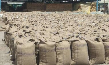 जूट पैकेजिंग मानदंडों को सीसीईए की मंजूरी, खाद्यान्न एवं चीनी की पैकेजिंग में अनिवार्य रूप से होता है इस्तेमाल