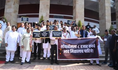 प्याज निर्यात पर प्रतिबंध के खिलाफ महाराष्ट्र विधानसभा में  प्रदर्शन