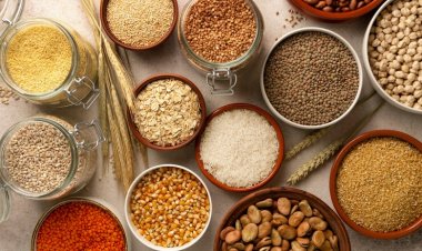 मिलेट्स स्टोर खोलने के लिए 20 लाख की सब्सिडी, जानिए पूरी प्रक्रिया