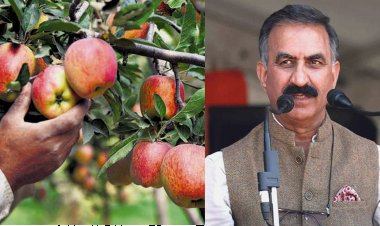 हिमाचल सरकार आज से सस्ती दरों पर बागवानी उपकरण उपलब्ध कराएगी