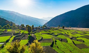 उत्तराखंड में खेती के लिए बाहरी लोगों के जमीन खरीदने पर फिलहाल रोक लगी