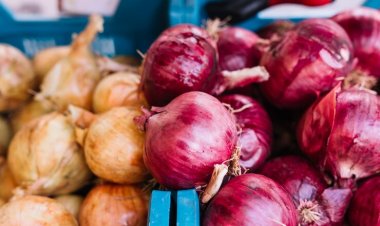 प्याज निर्यात पर प्रतिबंध ने तोड़ी किसानों की कमर, अब रोक हटने का इंतजार