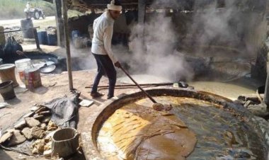 गुड़ इकाइयों में गन्ने का बेहतर भाव, चीनी मिलों के लिए समस्या