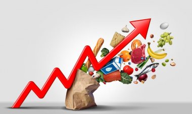 जून में थोक महंगाई 16 महीने के उच्चतम स्तर पर, दालें 21.64%, सब्जियां 38.76% महंगी