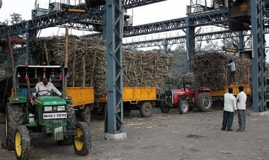 भारत का चीनी उत्पादन 148 लाख टन तक पहुंचा, पिछले सीजन से 7 फीसदी कम