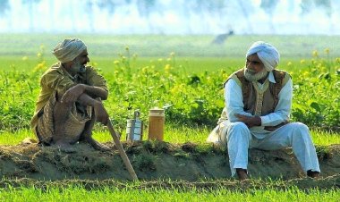 नीति निर्माण के केंद्र में दोबारा कृषि को लाना जरूरी