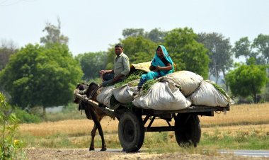 महंगाई रोकने के उपायों से कृषि व ग्रामीण इकोनॉमी पर प्रतिकूल असर