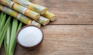 चीनी उत्पादन 1.19 फीसदी गिरावट के साथ 255.38 लाख टन तक पहुंचा
