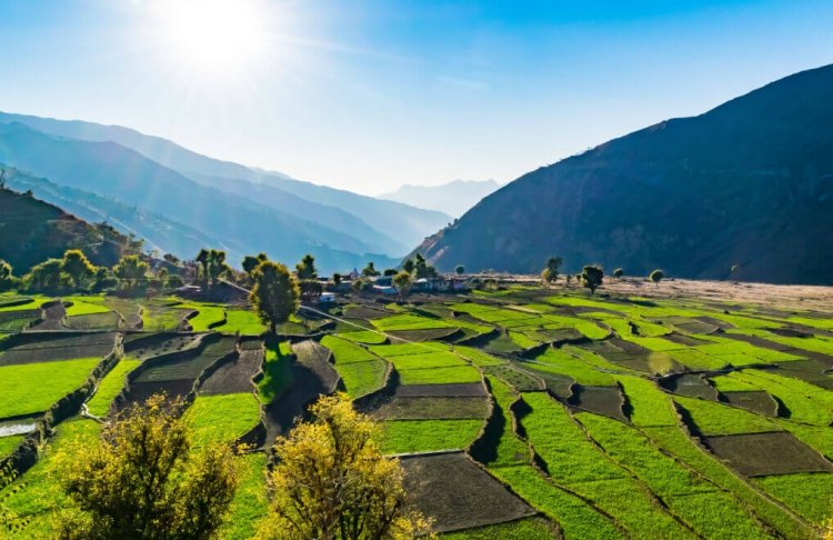 उत्तराखंड में खेती के लिए बाहरी लोगों के जमीन खरीदने पर फिलहाल रोक लगी