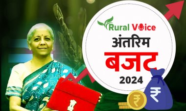 कृषि मंत्रालय का बजट मामूली बढ़ा, लेकिन कई योजनाओं के बजट व सब्सिडी में कटौती