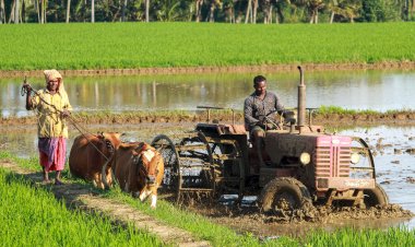 अंतरिम बजट को संयुक्त किसान मोर्चा ने प्रो-कॉरपोरेट और किसान विरोधी करार दिया