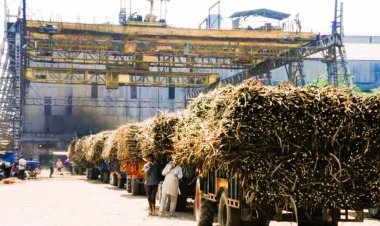 चीनी उत्पादन में 20 लाख टन की गिरावट, शुगर रिकवरी भी घटी