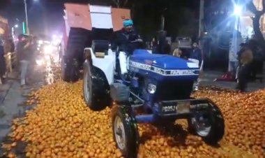 किन्नू सड़कों पर फिंकने की नौबत, किसानों ने उपज पर चलाया ट्रैक्टर
