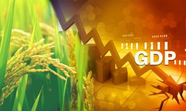 तीसरी तिमाही में जीडीपी ग्रोथ 8.4 फीसदी, लेकिन कृषि में गिरावट