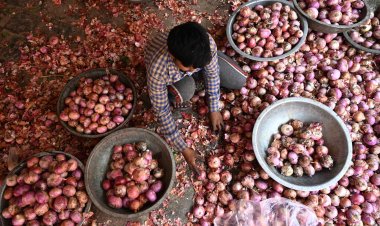 निर्यात पाबंदियों के बीच 64,400 टन प्याज और 30 हजार टन गैर-बासमती चावल निर्यात की अनुमति