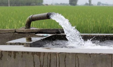 यूपी में किसानों को ट्यूबवेल के लिए मुफ्त बिजली, खराब फसलों के मुआवजे के लिए 23 करोड़ स्वीकृत