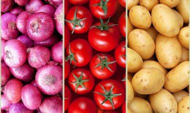 प्याज और आलू उत्पादन में कमी के आसार, बढ़ेगा टमाटर उत्पादन