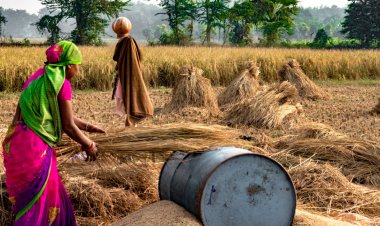 महिला दिवस विशेषः श्रम बल में शामिल होने वाली 79% नई महिलाओं को काम असंगठित क्षेत्र में