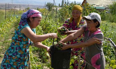 गांवों की महिलाओं को सशक्त बनाने से विश्व की जीडीपी 82 लाख करोड़ रुपए बढ़ जाएगीः एफएओ
