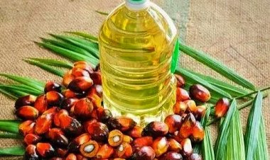 मिशन पाम ऑयल के जरिए खाद्य तेलों में आत्मनिर्भरता पर जोर