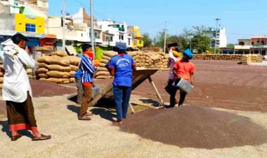 सरसों का भाव एमएसपी से नीचे, खाद्य तेल उद्योग ने सरकार से हस्तक्षेप की मांग की