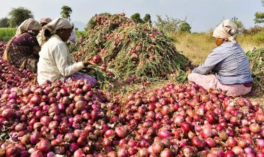 केंद्र सरकार किसानों से खरीदेगी 5 लाख टन प्याज, जल्द शुरू होगी खरीद