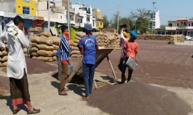 हरियाणा में सरसों की खरीद शुरू, लेकिन अधूरी तैयारियों से किसान परेशान