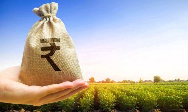 वित्तीय संसाधन कृषि उत्पादन को 24 फीसदी बढ़ाने और जलवायु जोखिम को 16 फीसदी कम करने में कारगर