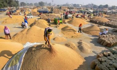 भारत ने लगातार पांचवीं बार डब्ल्यूटीओ में चावल खरीद के लिए पीस क्लॉज का सहारा लिया