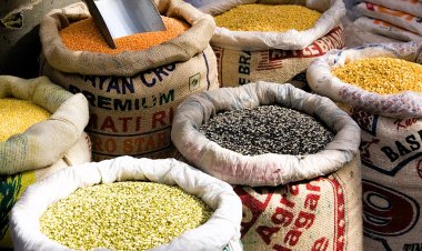 ब्राजील और अर्जेंटीना से दलहन आयात की तैयारी, कैसे आएगी आत्मनिर्भरता