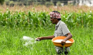 यूरिया की बिक्री घटने से स्टॉक 10 साल में सर्वाधिक 100 लाख टन के पार पहुंचा