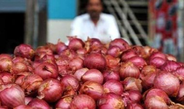 गुजरात और महाराष्ट्र की राजनीति में फंसा प्याज, निर्यात की घोषणा पर संशय