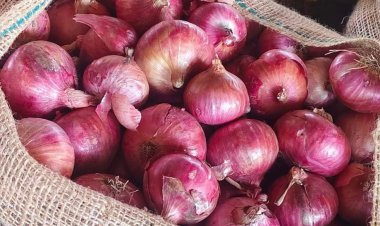 प्याज निर्यात पर सरकारी फैसलों से कुछ निर्यातकों को भारी मुनाफा, किसानों को घाटा
