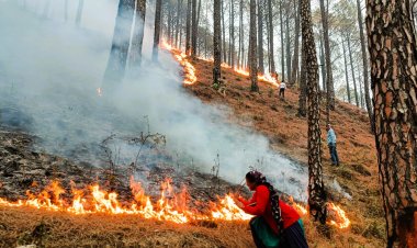 आग से धधक रहे उत्तराखंड के वन, 5 लोगों की मौत, खेतों में फसल अवशेष जलाने पर रोक