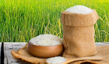 भारत ने मॉरीशस को 14,000 टन गैर-बासमती चावल के निर्यात की अनुमति दी