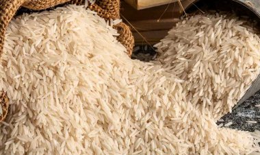 केंद्र सरकार ने गैर बासमती पारबॉयल्ड चावल पर निर्यात शुल्क घटाकर 10 फीसदी किया