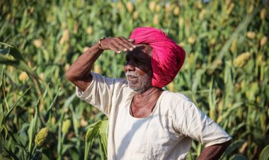 प्रचंड गर्मी और लू को देखते हुए आईएआरआई ने जारी की एडवाइजरी