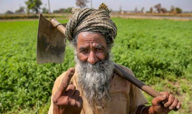 लोक सभा चुनाव में महंगाई, मंदिर और आरक्षण के बीच खो गया कृषि संकट