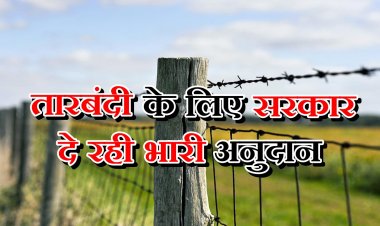 आवारा पशुओं से खेतों की सुरक्षा के लिए तारबंदी योजना, ऐसे करें आवेदन