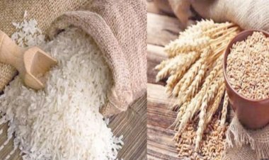 FAO Food Price Index: ग्लोबल मार्केट में जुलाई में अनाज, डेयरी और चीनी के दाम में गिरावट, वनस्पति तेल तीन साल के उच्चतम स्तर पर