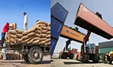 बासमती चावल और डेयरी प्रोडक्ट्स का निर्यात बढ़ा, गेहूं-फल समेत इन एग्री प्रोडक्ट्स की घटी मांग